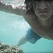 looking for sea snakes