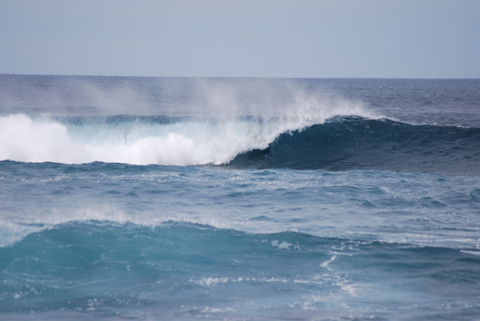 DSC_0033