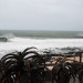 Big swell at the bay